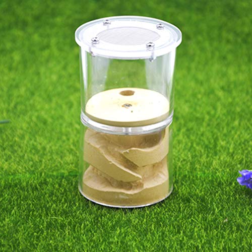 Transparent Ant Nest Acrylic Ant Workshop Plaster Worm Cage Nest Villa Birthday Present Gift Pet Mania House Ant Supplies (Color : A) von MERAXI