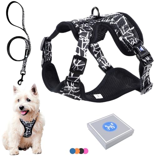 Hundegeschirr für kleine Hunde, Welpen oder Katzen (3-7,5kg) Brustgeschirr ohne Zug, gepolstert, mit Leine, sehr leicht, atmungsaktiv, weich einstellbar originell Geschenkbox (S,Schwarz) von MERLESS