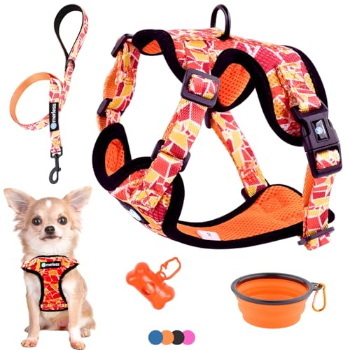 Hundegeschirr für kleine Hunde, Chihuahuas, Welpen und Kätzchen (1,2-3 kg) Verstellbares Geschirr für sehr kleine Hunde Anti-Zug-Weste robust und originell. Spaziergangszubehör (XS Orange, Set 5 in 1) Hundegeschirr für kleine Hunde, Chihuahuas, Welpen und Kätzchen (1,2-3 kg) Verstellbares Geschirr für sehr kleine Hunde Anti-Zug-Weste robust und originell. Spaziergangszubehör (XS Orange, Set 5 in 1) von MERLESS
