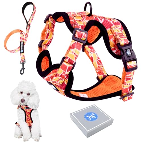 Geschirr und Leine für Hunde, Welpen, Katzen, Harnai, verstellbar, mittelgroße Hunde oder große Katzen, Maine Coon Arnet, Zugentlastung, Original, leicht, weich, Geschenkset (S, Orange), ideales von MERLESS