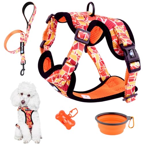 Hundegeschirr für kleine Hunde Welpen Katzen (7-11,5kg) Verstellbares Geschirr, Anti-Zug für Hunde mittlere oder große Katzen, Maine Coon robust originell Spaziergangszubehör (M Orange, Set) von MERLESS