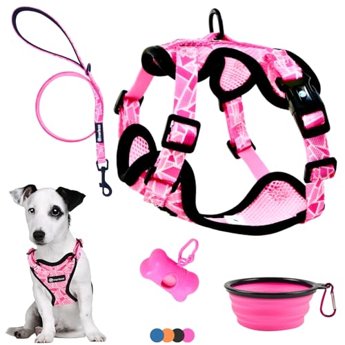 Hundegeschirr für kleine Hunde, Welpen, Katzen (7-11,5kg) Verstellbares Geschirr, Anti-Zug für Hunde wie den Terrier oder große Katzen, Maine Coon robust originell Spaziergangszubehör (M Rosa, Set) von MERLESS