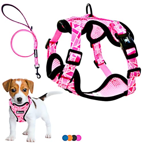 Hundegeschirr für kleine Hunde, Welpen oder Katzen (3-7,5kg) Brustgeschirr ohne Zug, gepolstert, mit Leine, sehr leicht, atmungsaktiv, weich, einstellbar, originell, Geschenkbox (S,Rosa) von MERLESS