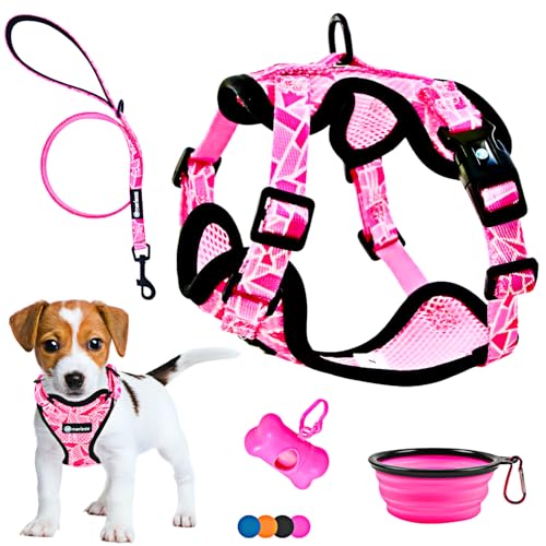 Hundegeschirr für kleine Hunde, Welpen und Katzen (3-7,5 kg), Brustgeschirr ohne Zug, gepolstert, mit Leine, pet Weste, sehr leicht, atmungsaktiv, weich, einstellbar, Geschenkbox (S Rosa, Set) von MERLESS