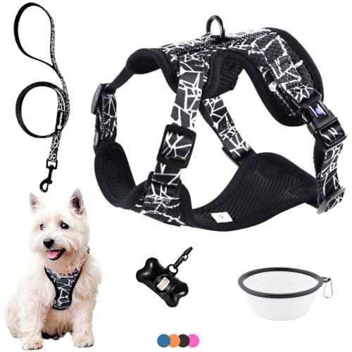 Hundegeschirr für kleine Hunde, Welpen oder Katzen (3-7,5 kg) Brustgeschirr ohne Zug gepolstert mit Leine pet Weste, sehr leicht, atmungsaktiv, weich, einstellbar, Geschenkbox (S Schwarz, Set) von MERLESS