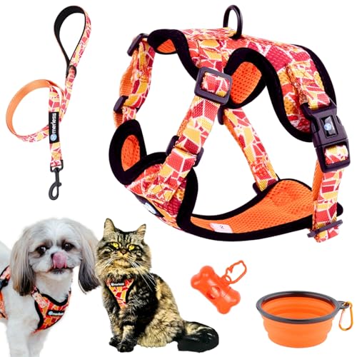 Hundegeschirr für kleine Hunde Welpen und Katzen (3-7,5 kg) Brustgeschirr ohne Zug Gepolstert Atmungsaktiv mit Leine Verstellbar Leicht & Weich Ideal für Spaziergänge Geschenkbox (S Orange, Set) Hundegeschirr für kleine Hunde Welpen und Katzen (3-7,5 kg) Brustgeschirr ohne Zug Gepolstert Atmungsaktiv mit Leine Verstellbar Leicht & Weich Ideal für Spaziergänge Geschenkbox (S Orange, Set) von MERLESS