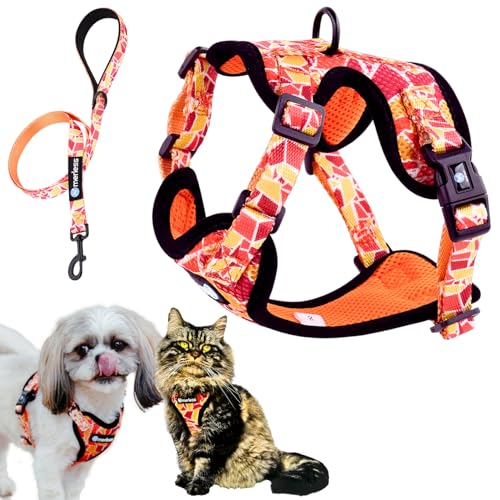 Hundegeschirr für kleine Hunde, Welpen oder Katzen (3-7,5 kg) Brustgeschirr ohne Zug, gepolstert, mit Leine, pet Weste, sehr leicht, atmungsaktiv, weich, einstellbar, originell, Geschenkbox (S,Orange) Hundegeschirr für kleine Hunde, Welpen oder Katzen (3-7,5 kg) Brustgeschirr ohne Zug, gepolstert, mit Leine, pet Weste, sehr leicht, atmungsaktiv, weich, einstellbar, originell, Geschenkbox (S,Orange) von MERLESS