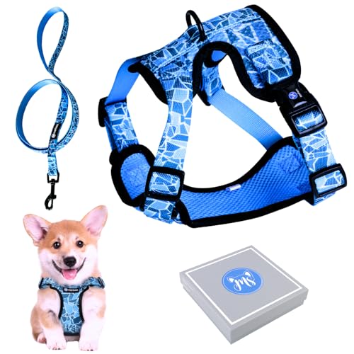 Hundegeschirr für kleine Hunde, Welpen, Katzen (3-7,5kg) Verstellbares Geschirr Anti-Zug für Hunde in der Größe von Bichon, Terrier, Pudel robust originell Spaziergangszubehör (S Blau) Hundegeschirr für kleine Hunde, Welpen, Katzen (3-7,5kg) Verstellbares Geschirr Anti-Zug für Hunde in der Größe von Bichon, Terrier, Pudel robust originell Spaziergangszubehör (S Blau) von MERLESS