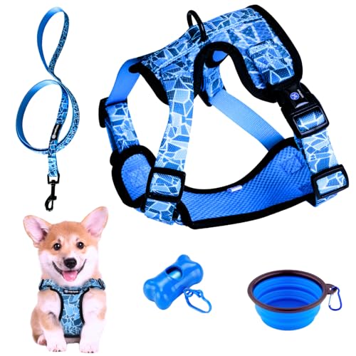Hundegeschirr für kleine Hunde, Welpen, Katzen (3-7,5kg) Verstellbares Geschirr Anti-Zug für Hunde in der Größe von Bichon, Terrier, Pudel robust originell Spaziergangszubehör (S Blau, Set) von MERLESS