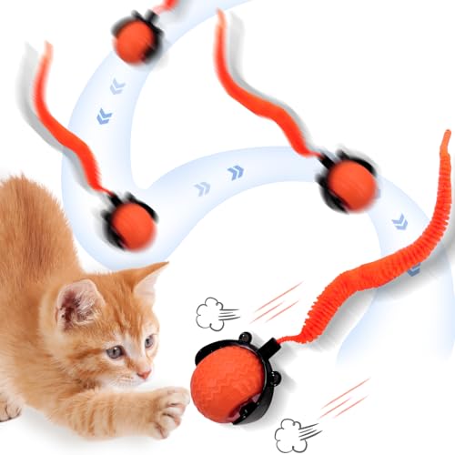 MERNEUO Katzenspielzeugbälle (Orange) von MERNEUO
