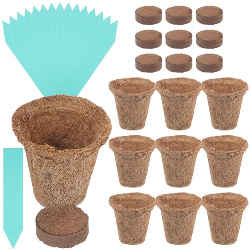 MERRYHAPY 1 Satz Kokospalmen pfannen Anlage Gartenbedarf Pflanzentopf Hydrokultur-Gartenset saftig Pflanzenaufzucht pflanzenpflege Flower Pot Pflanztöpfe für Sukkulenten Keimtöpfe PVC von MERRYHAPY
