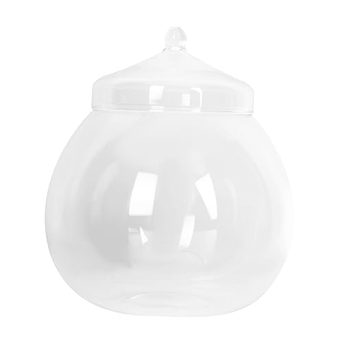 MERRYHAPY 1 Satz Ökologische Mikrolandschaftsflasche Zimmerbonsai Pflanztöpfe für Zimmerpflanzen klarer Kerzenhalter bürodeko Living Room Decoration Heimdekoration Vorratsflasche Glas von MERRYHAPY