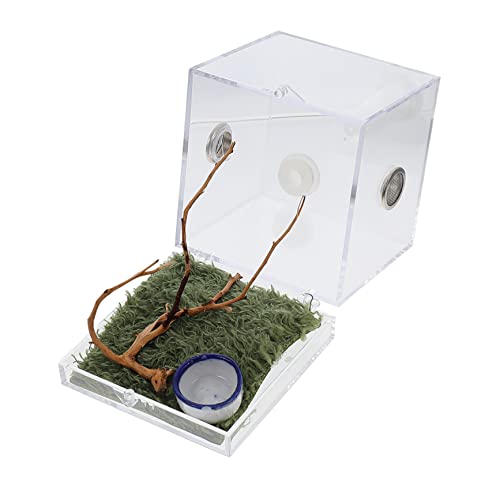 MERRYHAPY 1satz Sprungspinnen-Habitat Box Transparentes Terrarium Für Springspinnen Zucht Und Fütterungsbox Leicht Zu Reinigen Sicheres Material Für Kleine Haustiere von MERRYHAPY