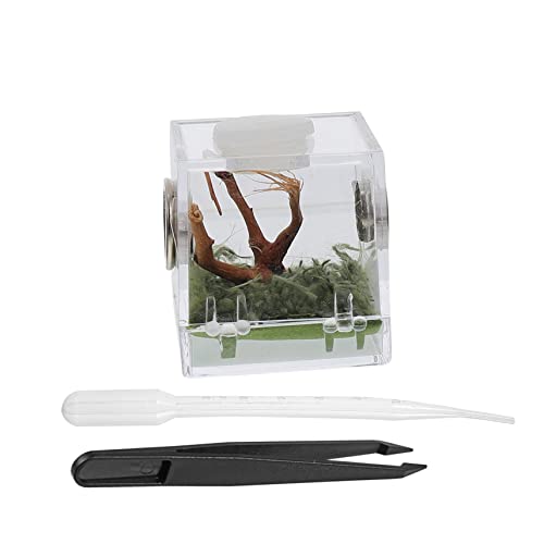 MERRYHAPY 1 Satz Transparente Zuchtbox für Springspinnen Fütterungsbox mit Belüftungsöffnungen für Optimale Luftzirkulation und Einfache Handhabung für Haltung von Kleinen Spinnen und MERRYHAPY 1 Satz Transparente Zuchtbox für Springspinnen Fütterungsbox mit Belüftungsöffnungen für Optimale Luftzirkulation und Einfache Handhabung für Haltung von Kleinen Spinnen und von MERRYHAPY