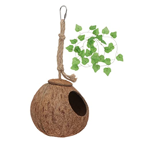 MERRYHAPY Kokosnuss Eidechsen Nest Satz Hängendes Reptilienversteck für Kleine Haustiere Langlebiges und Dekoratives Habitat für Gecko und Baumwaran Reptilienbedarf MERRYHAPY Kokosnuss Eidechsen Nest Satz Hängendes Reptilienversteck für Kleine Haustiere Langlebiges und Dekoratives Habitat für Gecko und Baumwaran Reptilienbedarf von MERRYHAPY