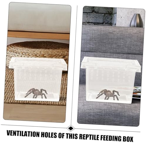 MERRYHAPY 10 Stück Teiliges Transparentes Kunststoff Reptilien Futterbox mit Belüftung Langlebig Leicht zu Reinigen Vielseitig Einsetzbar für Spinnen Eidechsen Geckos und Weitere Reptilien MERRYHAPY 10 Stück Teiliges Transparentes Kunststoff Reptilien Futterbox mit Belüftung Langlebig Leicht zu Reinigen Vielseitig Einsetzbar für Spinnen Eidechsen Geckos und Weitere Reptilien von MERRYHAPY