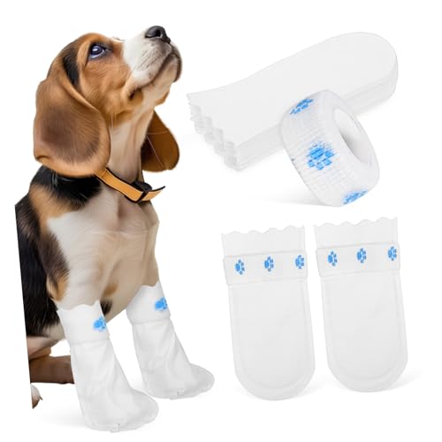 MERRYHAPY 20 Stück Teilig Einweg-hundeschuhe Pfotenschutz für Kleine Hunde Einfache Anwendung mit Bandage Bequemer Schutz vor Schmutz Hitze und Verletzungen für Outdoor und Indoor Einsatz MERRYHAPY 20 Stück Teilig Einweg-hundeschuhe Pfotenschutz für Kleine Hunde Einfache Anwendung mit Bandage Bequemer Schutz vor Schmutz Hitze und Verletzungen für Outdoor und Indoor Einsatz von MERRYHAPY