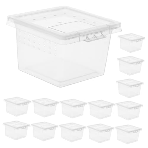 MERRYHAPY 20Stücke Kleiner Reptilienkäfig Aus Plastik Transparente Insektenbox Für Eidechsen Spinnen Und Andere Reptilien Atmungsaktiv Und Langlebig Für Heimtierhaltung von MERRYHAPY