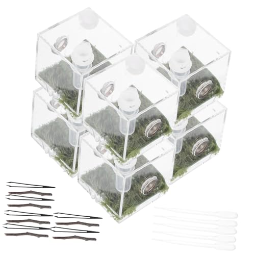 MERRYHAPY 6 Sets Exquisite Springspinnen-lebensraumkäfig Acryl-schneckenbehälter Für Reptilien von MERRYHAPY