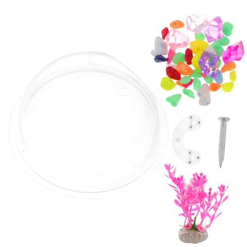 MERRYHAPY Wandmontierter Aquarium Fischbowl Transparent Platzsparend Für -Dekoration Installieren Für Fische Und Wasserpflanzen von MERRYHAPY