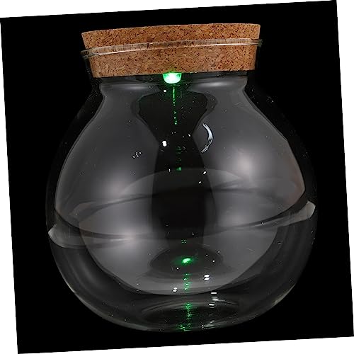 MERRYHAPY Mikrolandschaftshalter -beleuchtete Bunte Glaslandschaftsflasche Einfaches Pflanzenterrarium Moosterrariumbehälter von MERRYHAPY