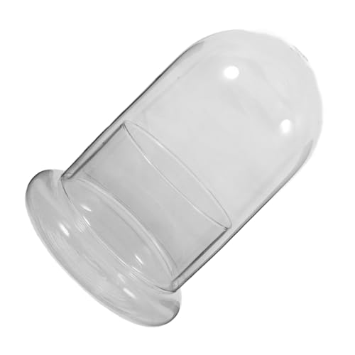 MERRYHAPY Eco-Flasche bürodeko büro Dekoration Aesthetic Ökologische Flasche platzsparend pflanzfass Steckmoos Glasvasen glasbehälter Blumenvase Buchvase Mikro-Landschaftsbehälter Terrarium MERRYHAPY Eco-Flasche bürodeko büro Dekoration Aesthetic Ökologische Flasche platzsparend pflanzfass Steckmoos Glasvasen glasbehälter Blumenvase Buchvase Mikro-Landschaftsbehälter Terrarium von MERRYHAPY