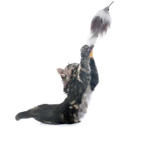 MERRYHAPY Elektrischer Katzenspielball mit Automatischer Rollfunktion und Maus attrappe Verschleißfest Batteriebetrieben Interaktives für Katzen zur Selbstbeschäftigung und Bewegung von MERRYHAPY