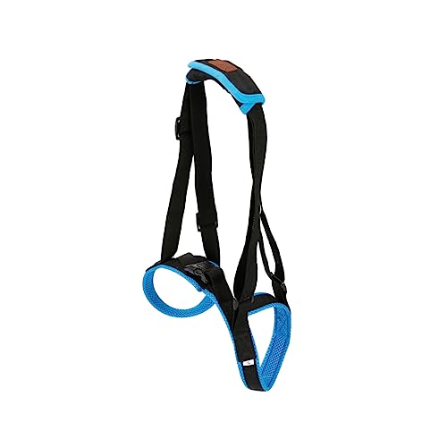 MERRYHAPY Stützgürtel Für Hunde Haustier-hilfsgürtel Für Treppen Verletzte Bequem Air Mesh Größe M MERRYHAPY Stützgürtel Für Hunde Haustier-hilfsgürtel Für Treppen Verletzte Bequem Air Mesh Größe M von MERRYHAPY