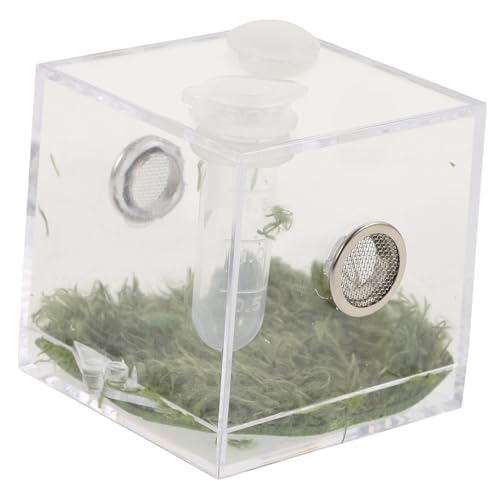 MERRYHAPY Klares Reptilien Aufzuchtbecken aus Robustem Kunststoff Langlebige Zuchtbox für Kleine Springspinnen Leichtes Habitat mit Professionellem Design Terrarium für Reptilienhaltung und MERRYHAPY Klares Reptilien Aufzuchtbecken aus Robustem Kunststoff Langlebige Zuchtbox für Kleine Springspinnen Leichtes Habitat mit Professionellem Design Terrarium für Reptilienhaltung und von MERRYHAPY