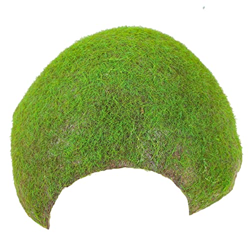 MERRYHAPY Natürliche Reptilienhöhle Moos Reptilien Versteck Terrarium Schildkröte Plattform Reptile Accessoire MERRYHAPY Natürliche Reptilienhöhle Moos Reptilien Versteck Terrarium Schildkröte Plattform Reptile Accessoire von MERRYHAPY