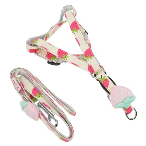 MERRYHAPY Outdoor Hundeleine Frischem Fruchtmuster Verstellbare und Ausbruchsichere Leine für und Sicheres Führen von MERRYHAPY