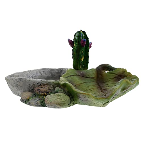 MERRYHAPY Reptilien Wasserschale für Eidechsen und Schildkröten Lebensmittelechtes Design rutschfest Terrarium und Tägliche Fütterung Praktische Futterschüssel von MERRYHAPY