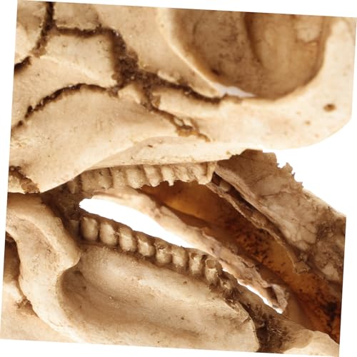 MERRYHAPY Resin Dinosaurier schädel Versteck Aquarium Dekoration Langlebig Naturnah Sicher für Reptilien und Kleine Fische Terrarium Ornament für Wasserbecken und Tischdekoration von MERRYHAPY