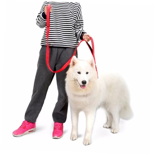 MERRYHAPY Safety Keilriemen Hundespaziergang Führt Hundeleine Laufleine Für Haustiere Trainingsleine Für Hunde Der Hund Haustierzubehör Safe Todsicher MERRYHAPY Safety Keilriemen Hundespaziergang Führt Hundeleine Laufleine Für Haustiere Trainingsleine Für Hunde Der Hund Haustierzubehör Safe Todsicher von MERRYHAPY