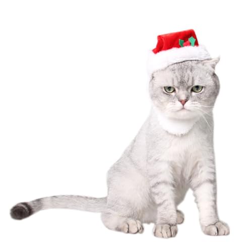 MERRYHAPY Weihnachtsmütze Für Hunde Mit Bart Und Glocke Bezaubernde Partymütze Für Welpen Cosplay-Requisite Für Tierparty von MERRYHAPY