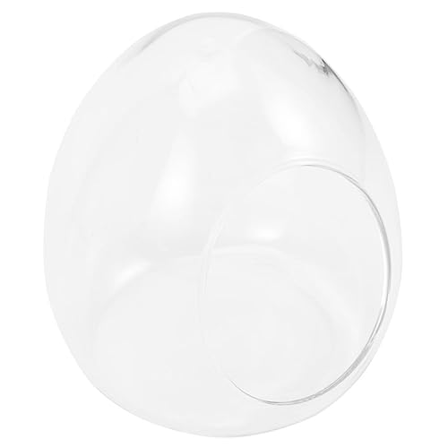 MERRYHAPY Eiförmige Glasflasche Für Moos Und Pflanzenlandschaften Terrarium Behälter Leicht Und Langlebig Zur Dekoration Ihres Zuhauses von MERRYHAPY