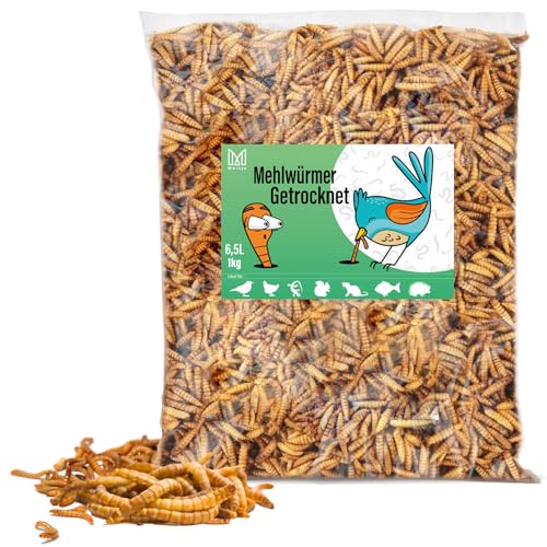 Mersjo Premium Mehlwürmer getrocknet 1kg 6.5L Vielfältige Leckereien für Tiere: Insekten als Snack für Vögel, Fische, Schildkröten, Nager, Igel, Reptilien von MERSJO