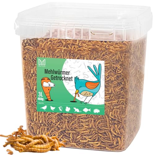 Mersjo Premium Mehlwürmer getrocknet 460g 3L Vielfältige Leckereien für Tiere: Insekten als Snack für Vögel, Fische, Schildkröten, Nager, Igel, Reptilien von MERSJO