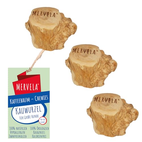 MERVELA® Kauwurzel für Hunde – Natürliches Kauspielzeug für alle Hundegrößen – Zahnpflege & Langlebig – Ideal für Starke Kauer – natürliche Beschäftigung (Kauwurzel XL 3 St.) von MERVELA