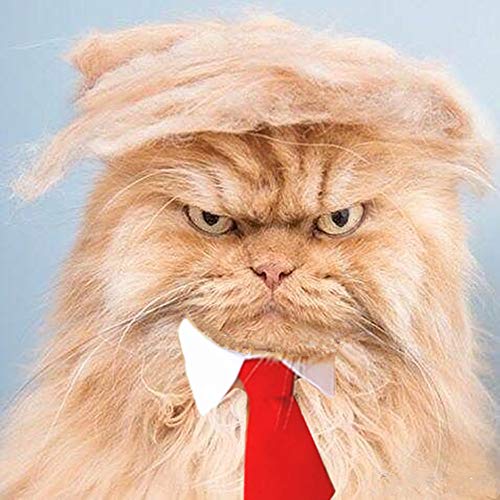 HUOXIG Trump Stil Pet Kostüm Katze Perücke, Donald Hund Kleidung mit Halsband & Tie Kopf tragen Apparel Spielzeug für Halloween, Weihnachten, Partys, Festivals von fmji von MESINURS