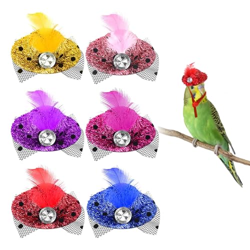 Papageienhut, Halloween-Kostüm, Mini-Helm, Topper, Hut mit Kinnriemen, Papageien-Tier, Weihnachtsdekoration für Gewürzfinken, Nymphensittiche, 6 Stück Papageienhut, Halloween-Kostüm, Mini-Helm, Topper, Hut mit Kinnriemen, Papageien-Tier, Weihnachtsdekoration für Gewürzfinken, Nymphensittiche, 6 Stück von MESINURS