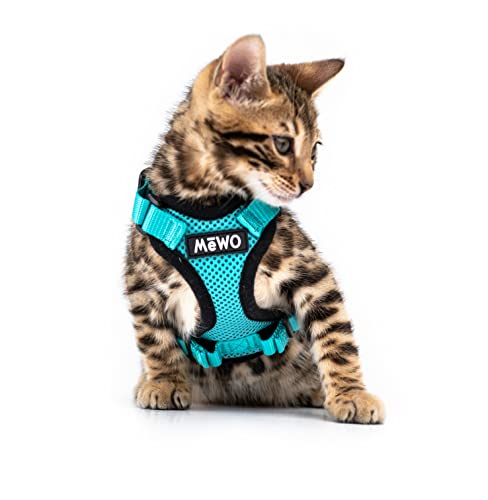 MEWO Katzengeschirr und Leine, Set – Größe XS – Kätzchen, Aqua Marine, ausbruchsicher, reflektierend, verstellbar, Tiergeschirr von MEWO