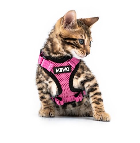 MeWO Set aus Leine und Geschirr für Kätzchen, ausbruchsicher, reflektierend, verstellbar für eine sichere und gute Passform, Set aus Geschirr und Leine für kleine Katzen, Katzenleinen und -geschirre von MEWO
