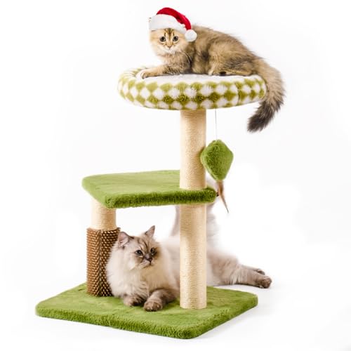 Katzenkratzbaum mit Katzenkratzpfahl Katzenkissen für Klein-mittel (Grün, 71CM) Katzenkratzbaum mit Katzenkratzpfahl Katzenkissen für Klein-mittel (Grün, 71CM) von MEWOOFUN
