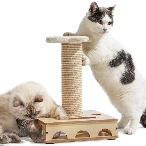 MEWOOFUN Interaktives Katzenspielzeug aus Holz, Puzzlebox mit Sisal-Kratzbaum für Hauskatzen – Interaktive Katzenbox mit 16 Löchern und 3 Glöckchenbällen, Katzen Puzzlebox lustiges Katzen Spielzeug MEWOOFUN Interaktives Katzenspielzeug aus Holz, Puzzlebox mit Sisal-Kratzbaum für Hauskatzen – Interaktive Katzenbox mit 16 Löchern und 3 Glöckchenbällen, Katzen Puzzlebox lustiges Katzen Spielzeug von MEWOOFUN