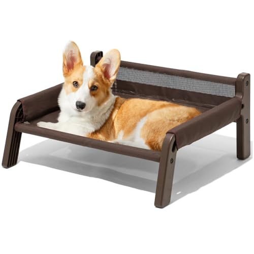 MEWOOFUN Erhöhtes Hundesofa – atmungsaktives Haustierbett mit abnehmbarem, waschbarem Bezug, Hundebetten für große und mittelgroße Hunde mit rutschfester Unterseite (braunes Netzgewebe, M) MEWOOFUN Erhöhtes Hundesofa – atmungsaktives Haustierbett mit abnehmbarem, waschbarem Bezug, Hundebetten für große und mittelgroße Hunde mit rutschfester Unterseite (braunes Netzgewebe, M) von MEWOOFUN