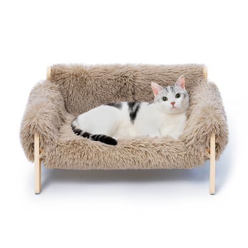 MEWOOFUN Katzen-Couch-Bett, Haustier-Sofa für den Innenbereich, aus Holz, erhöhtes Katzenbett mit abnehmbarem Matratzenbezug, geeignet für Kätzchen, Welpen oder Kleintiere von MEWOOFUN