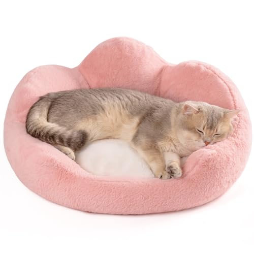 MEWOOFUN Katzenbett, groß, waschbar, flauschig, beruhigend, Haustierbett für Kätzchen, süßes Katzenbett, Sofa, 58 x 58 x 23 cm, Rosa MEWOOFUN Katzenbett, groß, waschbar, flauschig, beruhigend, Haustierbett für Kätzchen, süßes Katzenbett, Sofa, 58 x 58 x 23 cm, Rosa von MEWOOFUN