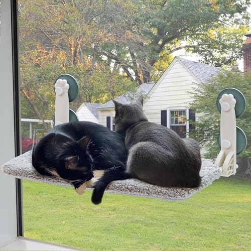 MEWOOFUN Katzenbett Fenster 60x30cm Klappbar Hängematte Katze Fenster Katze Fensterbank mit Stabil Saugnäpfe bis zu 18kg, Large Grey von MEWOOFUN