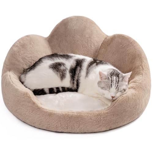 MEWOOFUN Katzenbetten für Hauskatzen, großes Katzenbett, waschbar, flauschig, beruhigendes Kätzchenbett, niedliches Katzenbett, Sofa-Design in Braun mit abnehmbarem Katzenkissen, 58 x 58 x 23 cm MEWOOFUN Katzenbetten für Hauskatzen, großes Katzenbett, waschbar, flauschig, beruhigendes Kätzchenbett, niedliches Katzenbett, Sofa-Design in Braun mit abnehmbarem Katzenkissen, 58 x 58 x 23 cm von MEWOOFUN